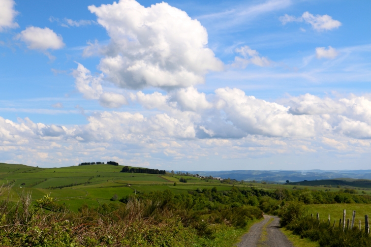 Aux alentours. - Prades-d'Aubrac