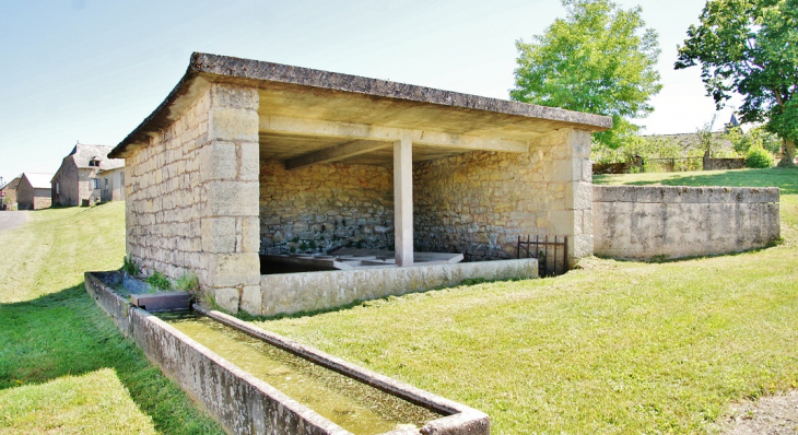 Le Lavoir - Rodelle