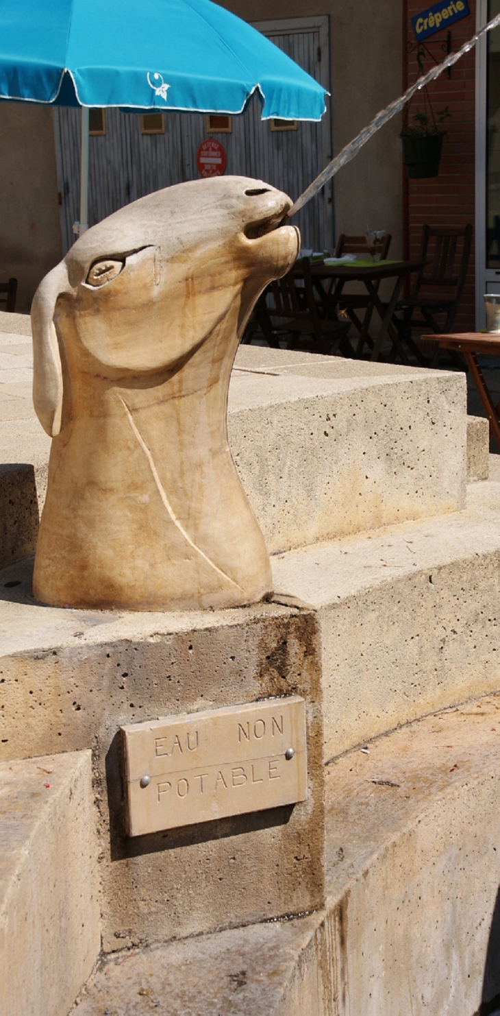 Fontaine des Béliers ( Place de l'Hotel-de-Ville ) Détail - Saint-Affrique