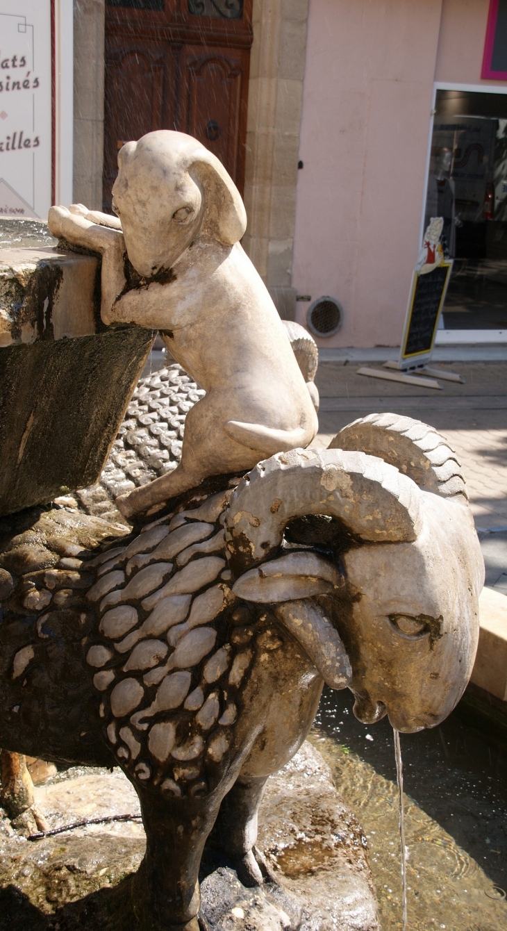 Fontaine des Béliers ( Place de l'Hotel-de-Ville ) Détail - Saint-Affrique