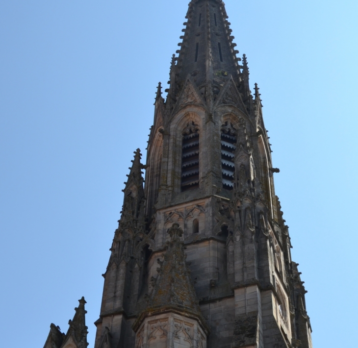 Eglise Gothique Saint'Afrique 19 Em Siècle ( clocher et sa Flèche culmine a 71 Mètres )  - Saint-Affrique