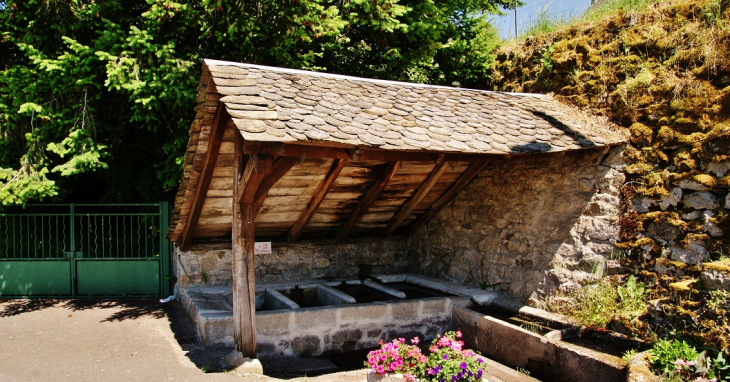 Le Lavoir - Saint-Amans-des-Cots