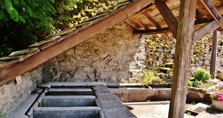 Le Lavoir - Saint-Amans-des-Cots