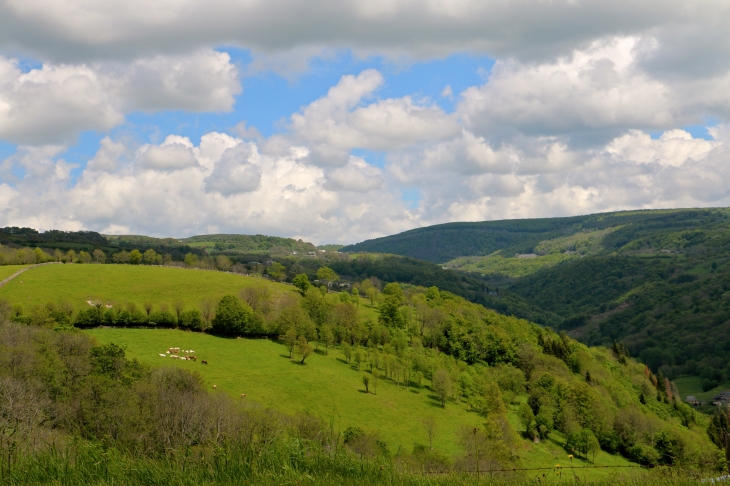 Aux alentours. - Saint-Chély-d'Aubrac