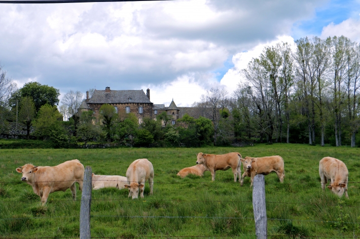 D19 - Saint-Chély-d'Aubrac