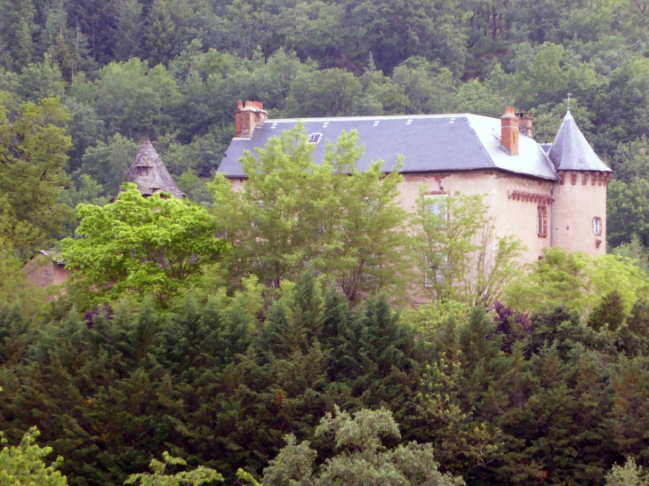 Saint Julien de Malmont le château - Saint-Cyprien-sur-Dourdou