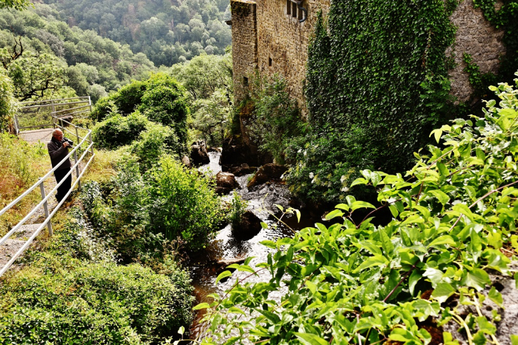 Ruisseau de Servan - Saint-Félix-de-Lunel