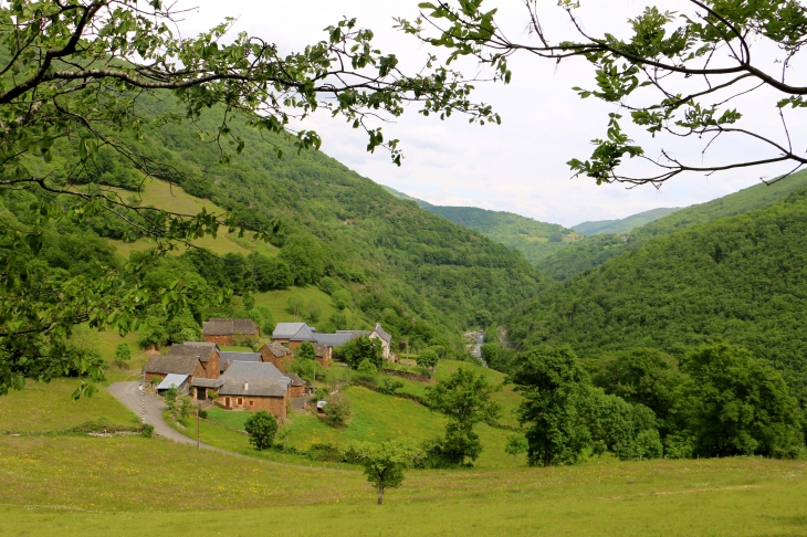 Vue de la route D95 sur la vallée du Lot. - Saint-Geniez-d'Olt