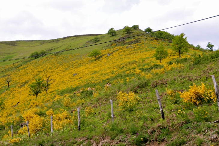 Aux alentours. - Saint-Geniez-d'Olt