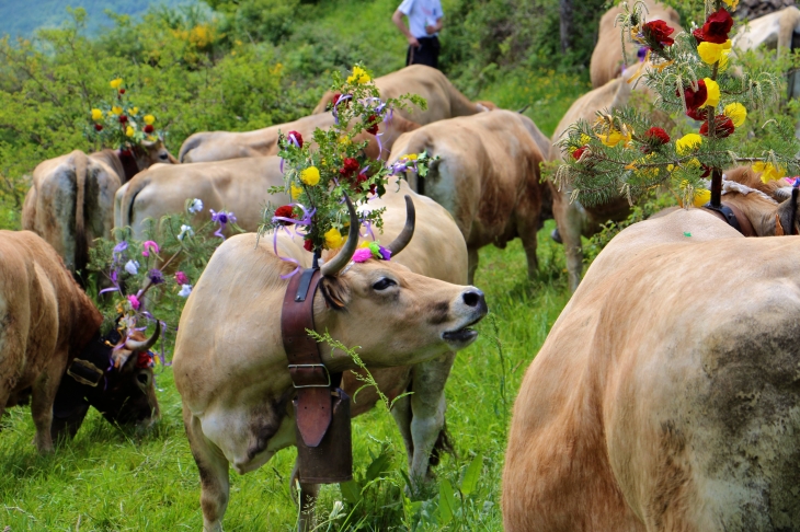 Fête et Marches de l'estive : cote de Verlac. - Saint-Geniez-d'Olt