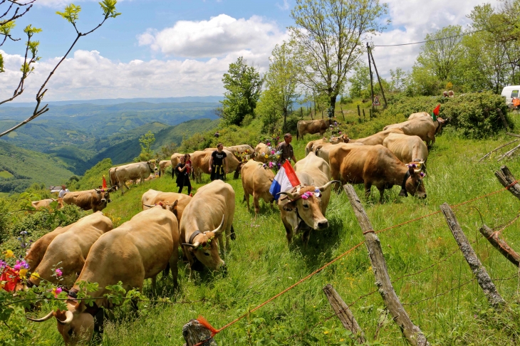 Fête et Marches de l'estive : cote de Verlac. - Saint-Geniez-d'Olt