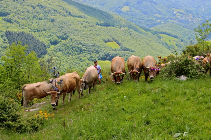 Fête et Marches de l'estive : cote de Verlac. - Saint-Geniez-d'Olt