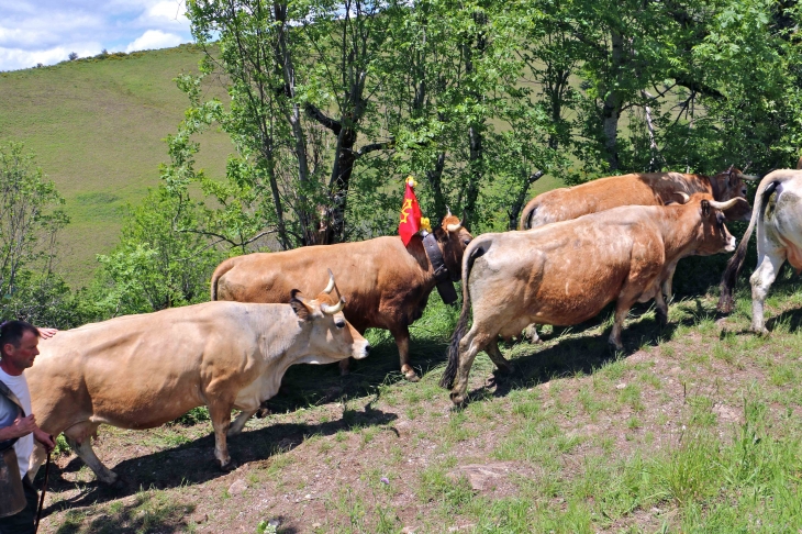 Fête et Marches de l'estive : cote de Verlac. - Saint-Geniez-d'Olt