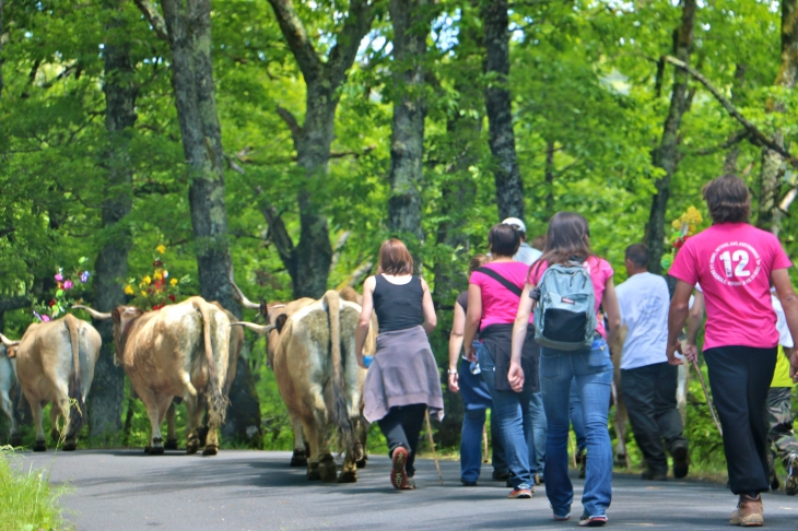 Fête et Marches de l'estive : cote de Verlac. - Saint-Geniez-d'Olt