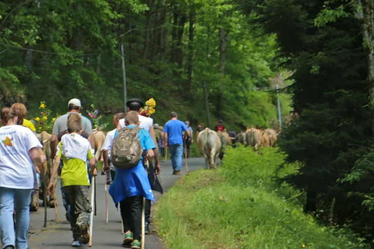 Fête et Marches de l'estive : cote de Verlac. - Saint-Geniez-d'Olt