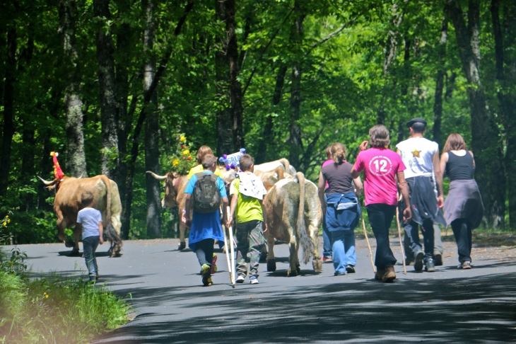 Fête et Marches de l'estive : cote de Verlac. - Saint-Geniez-d'Olt