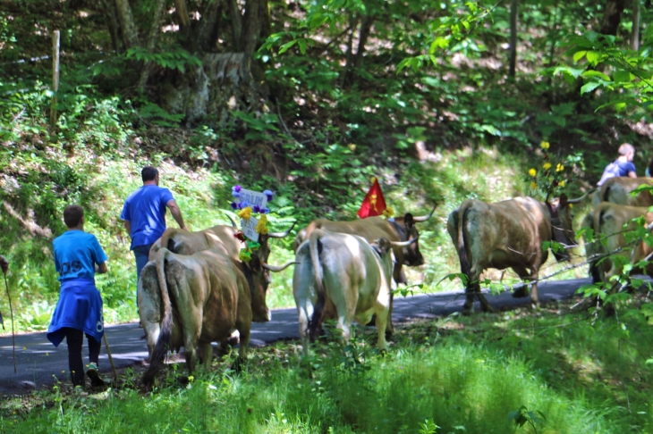 Fête et Marches de l'estive : cote de Verlac. - Saint-Geniez-d'Olt