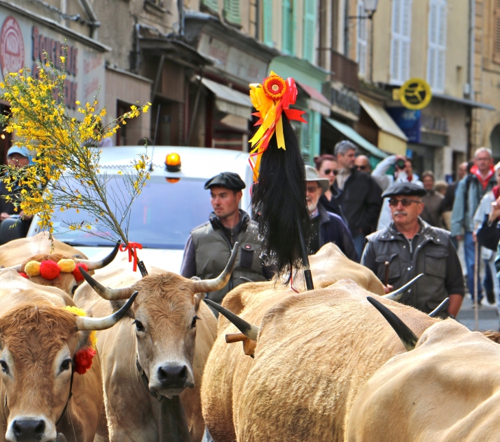 Fête et Marches de l'estive. - Saint-Geniez-d'Olt