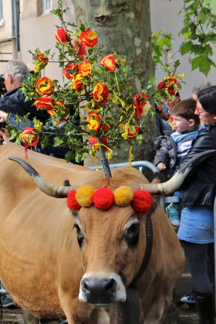 Fête et Marches de l'estive. - Saint-Geniez-d'Olt