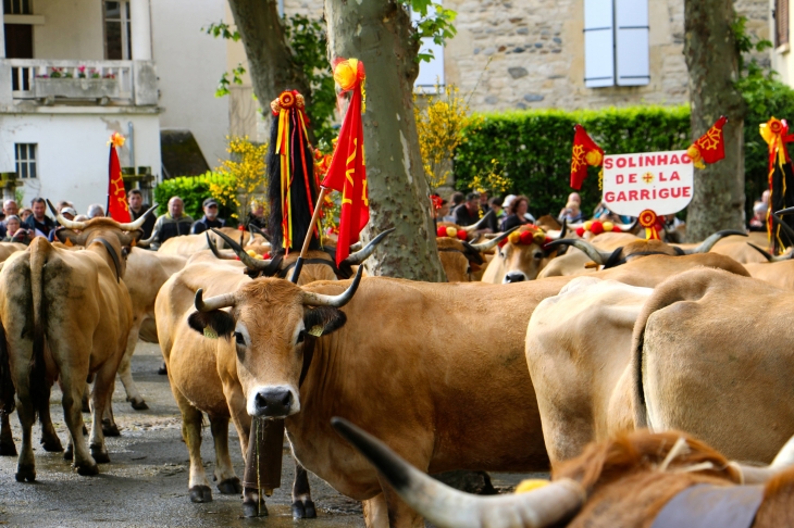 Fête et Marches de l'estive. - Saint-Geniez-d'Olt