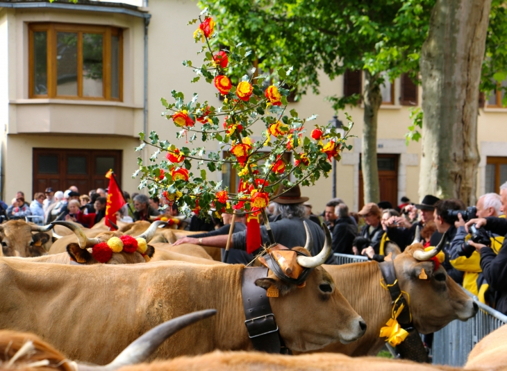 Fête et Marches de l'estive. - Saint-Geniez-d'Olt