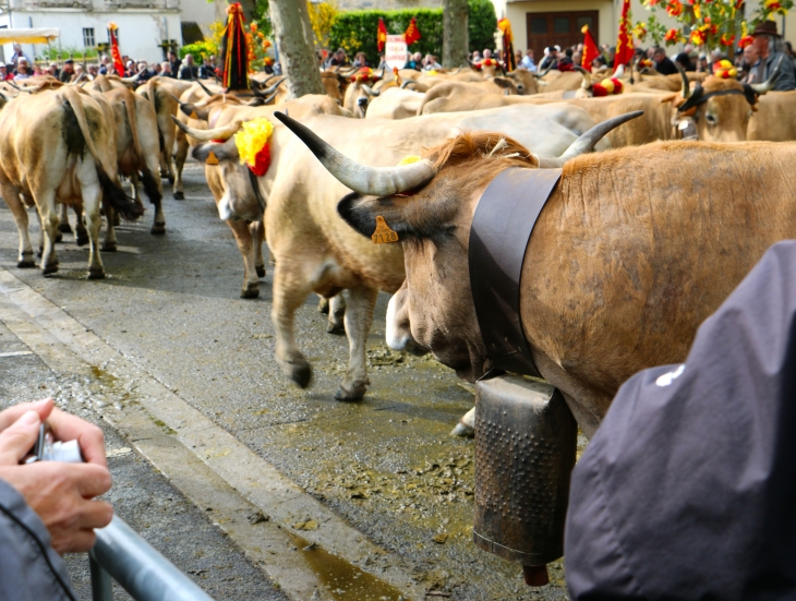 Fête et Marches de l'estive. - Saint-Geniez-d'Olt