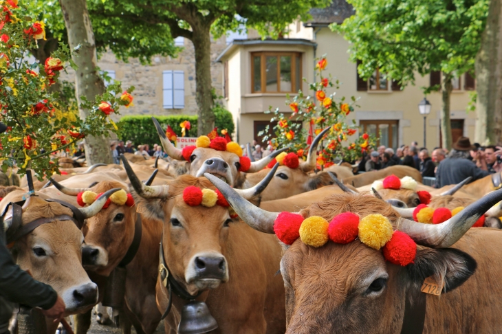 Fête et Marches de l'estive. - Saint-Geniez-d'Olt