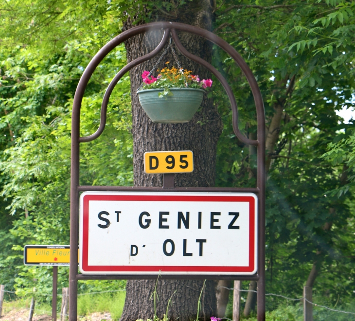 Autrefois : une des quatre châtellerie du Rouergue. La ville était particulièrement active au XVIIIe siècle avec ses tanneries, ses clouteries et ses fabriques de draps. - Saint-Geniez-d'Olt