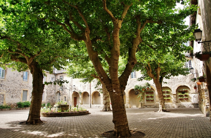 Cloître du Monastère  - Saint-Geniez-d'Olt