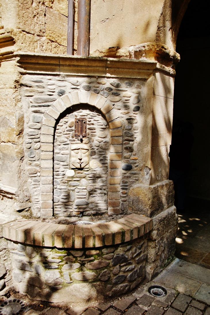 Cloître du Monastère  ( Fontaine ) - Saint-Geniez-d'Olt