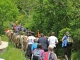 Photo précédente de Saint-Geniez-d'Olt Fête et Marches de l'estive : cote de Verlac.