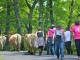 Photo précédente de Saint-Geniez-d'Olt Fête et Marches de l'estive : cote de Verlac.