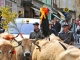 Photo suivante de Saint-Geniez-d'Olt Fête et Marches de l'estive.