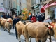 Photo précédente de Saint-Geniez-d'Olt Fête et Marches de l'estive.