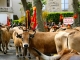 Photo précédente de Saint-Geniez-d'Olt Fête et Marches de l'estive.