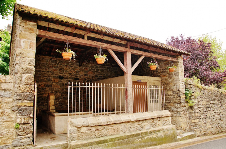 Le Lavoir - Saint-Georges-de-Luzençon