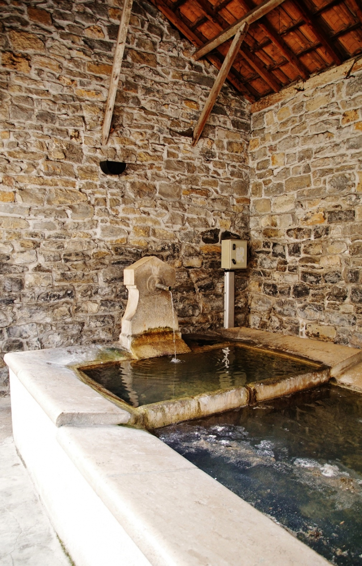 Le Lavoir - Saint-Georges-de-Luzençon