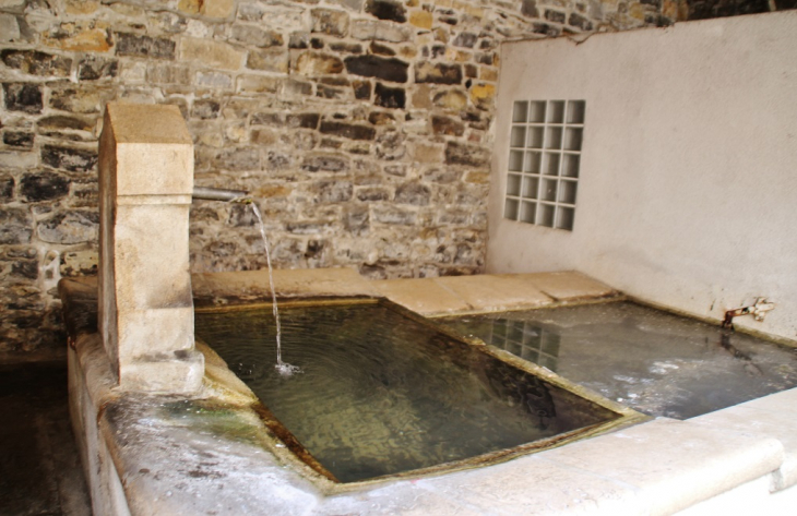 Le Lavoir - Saint-Georges-de-Luzençon