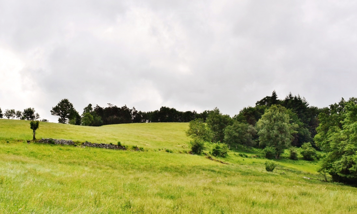 La Commune - Saint-Juéry