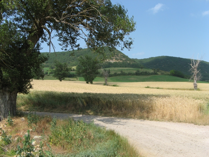 Au pied de la montagne - Saint-Rome-de-Cernon