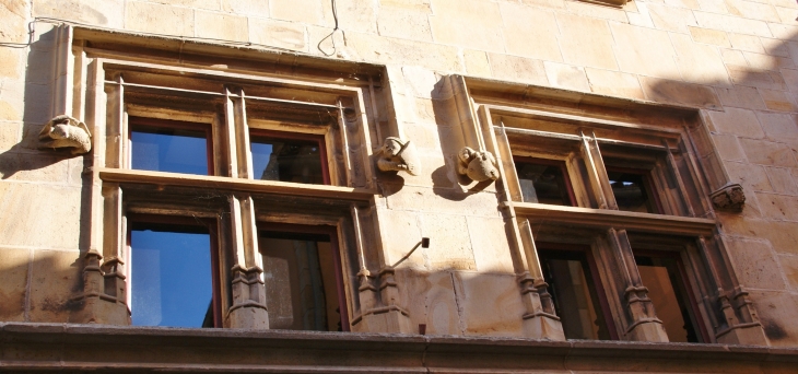 Ancienne maison du Prévôt de St Sernin 15 Em Siècle ( Détail Sculpture ) - Saint-Sernin-sur-Rance