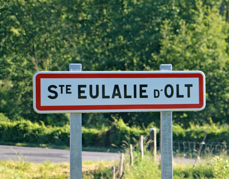 Autrefois : au Moyen-Âge, le bourg était entouré de remparts et de tours. Le château médièval avait été bâti par l'évêque de Rodez. Fabrication de draps aux XVIIe et XVIIIe siècles. - Sainte-Eulalie-d'Olt