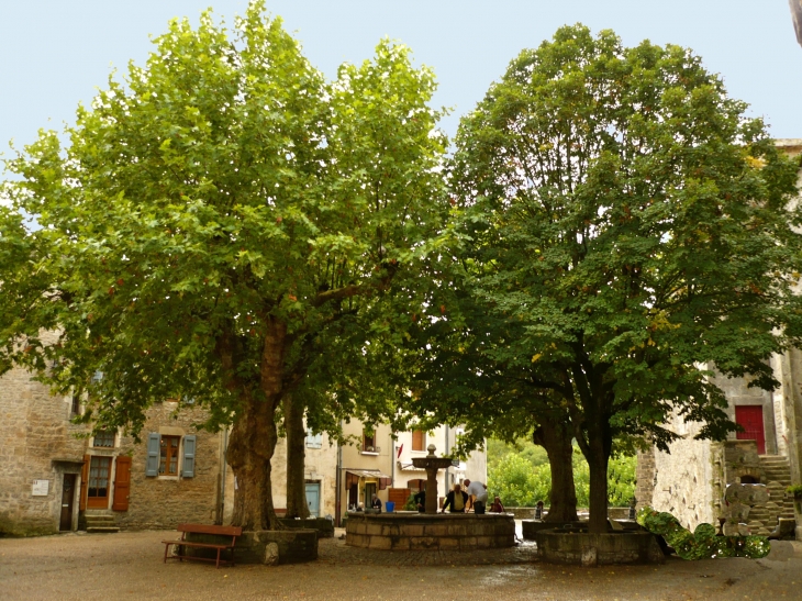 Sur la place, à l'emplacement de l'ancien cimetière des templiers se tient la fontaine qui est l'oeuvre du commandeur Jean de Bermouy-Villeneuve au milieu du XVIIe siècle. - Sainte-Eulalie-de-Cernon