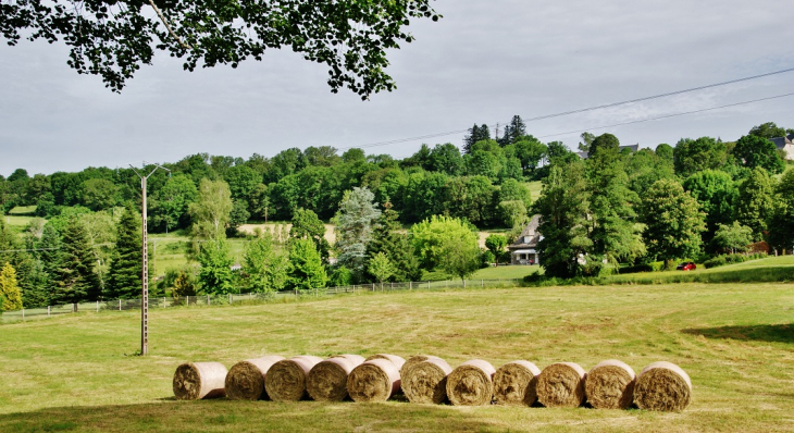 La Commune ( Orlhaguet ) - Sainte-Geneviève-sur-Argence