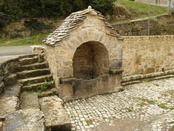 Puits-sur-la-place d'Inières. - Sainte-Radegonde