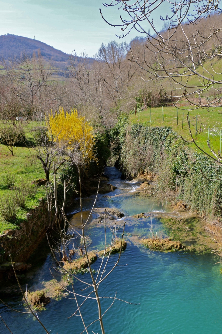 La rivière Créneau. - Salles-la-Source