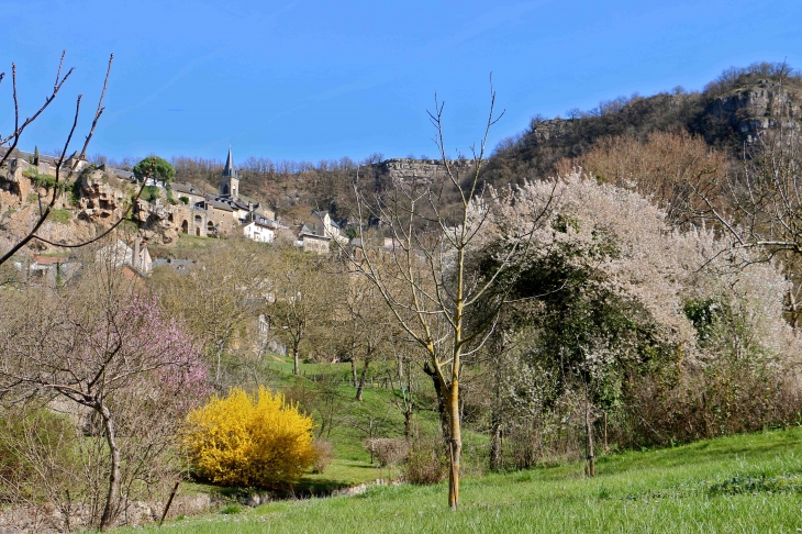 Vue sur le village. - Salles-la-Source