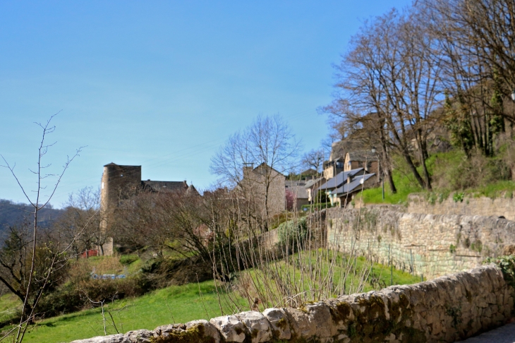 Vue sur le château. - Salles-la-Source