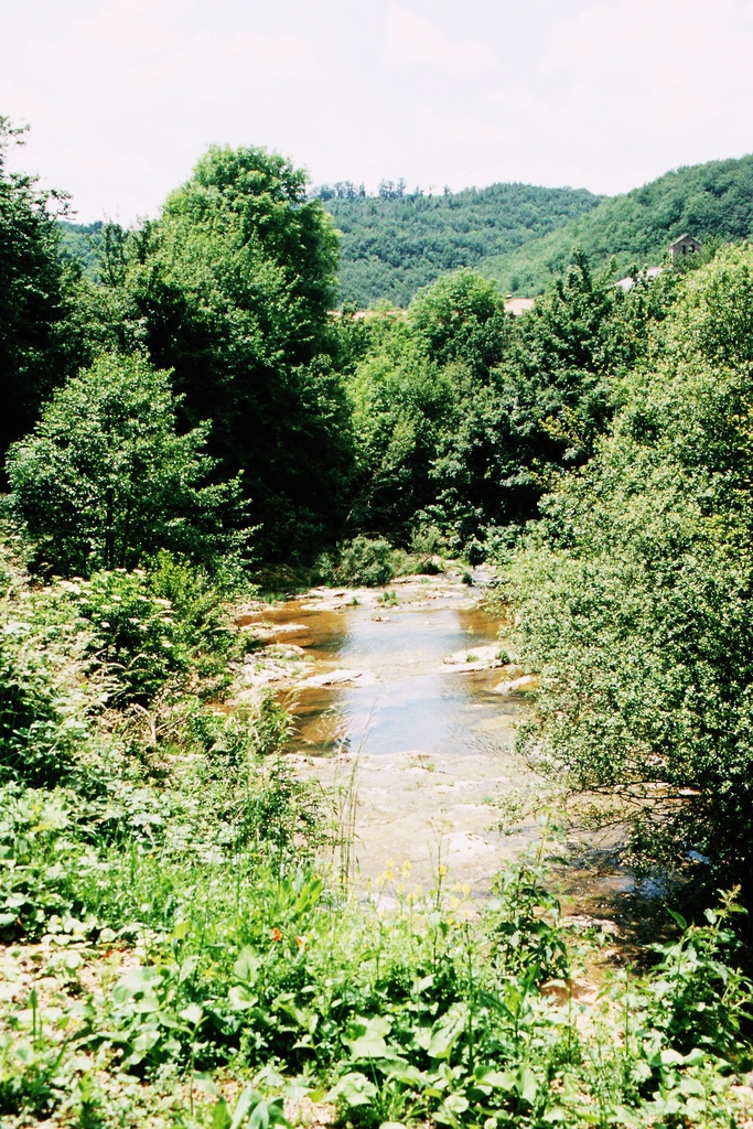 Cours d'eau à Solanes - Sylvanès