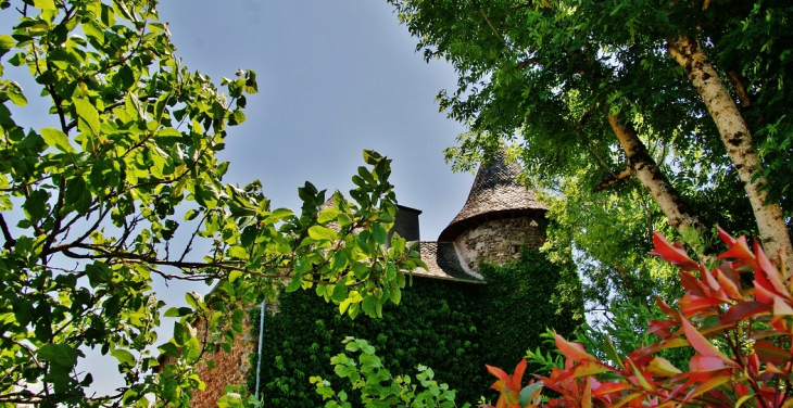 Le Château - Taussac